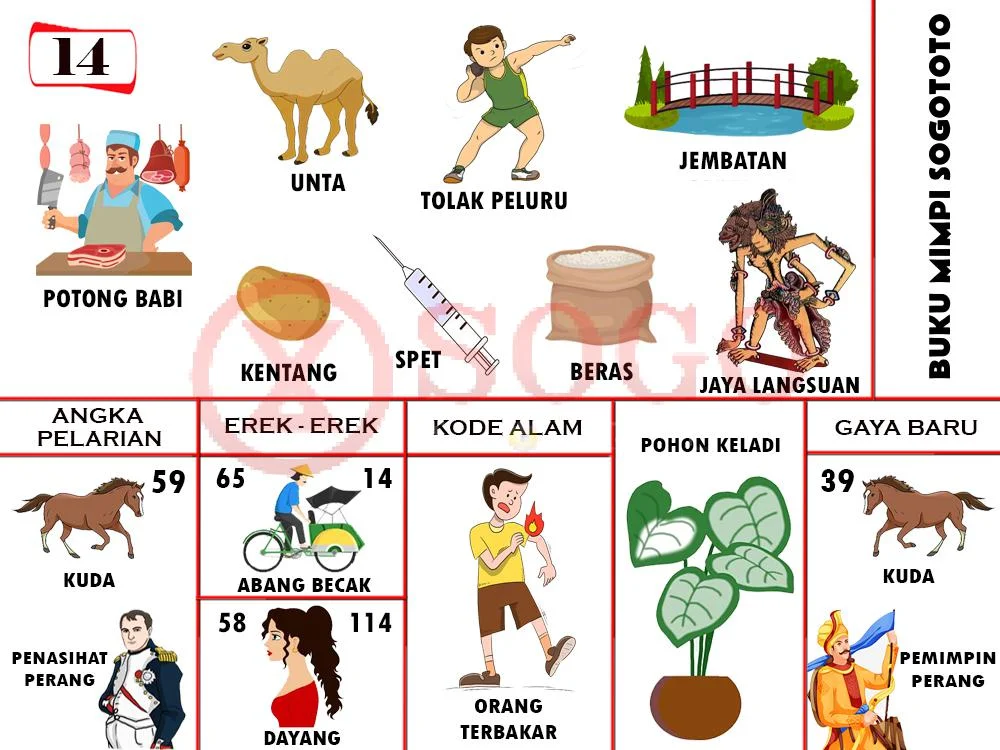 buku mimpi erek erek togel 14